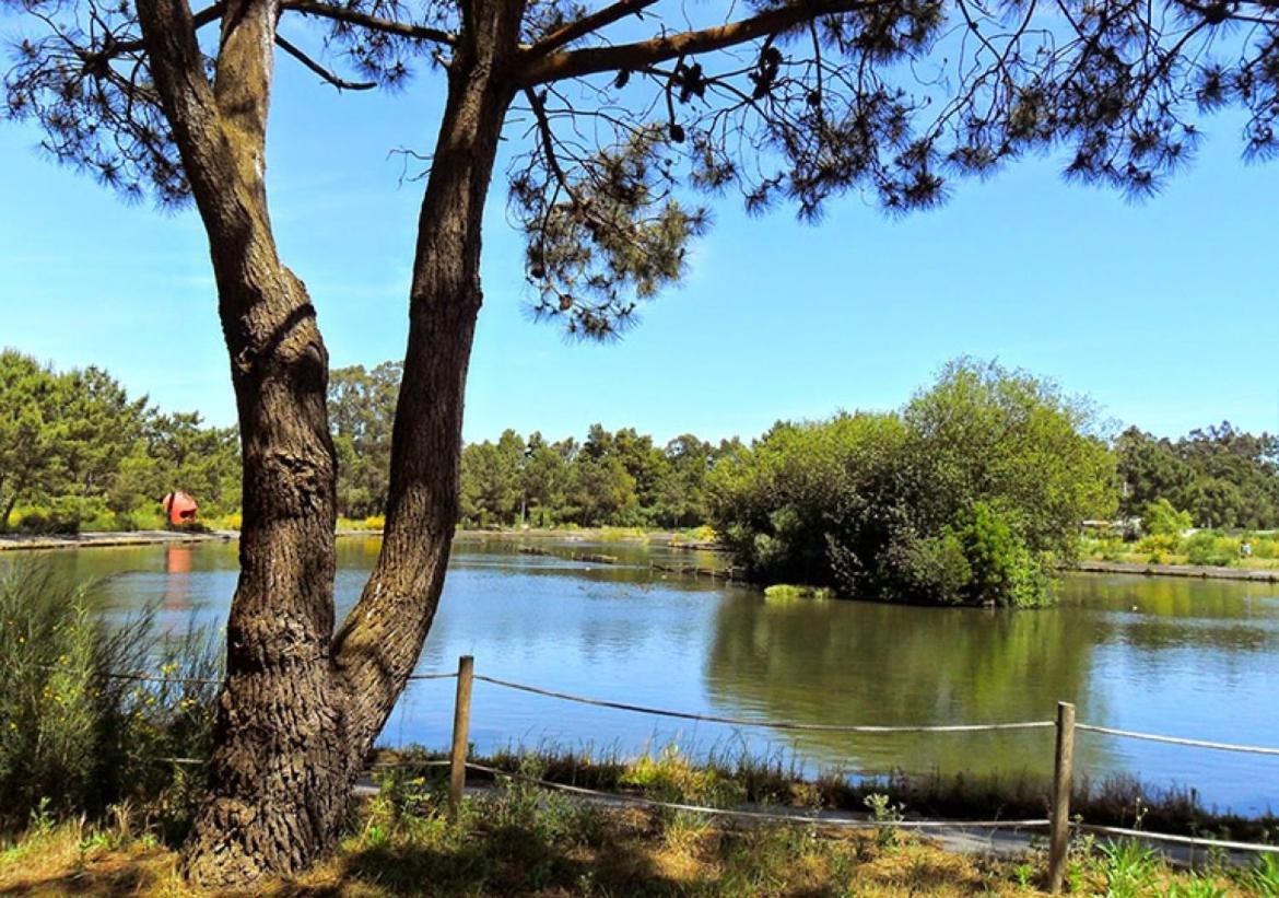 Aromas Flavors Tours Esmoriz Beach Daire Dış mekan fotoğraf